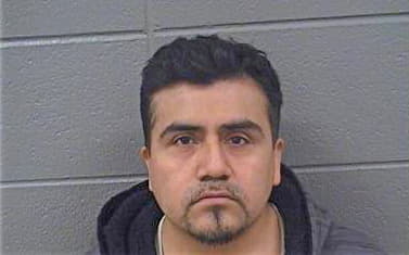 Delgado Salomon - Cook County, IL 