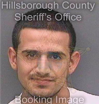 Perez Eduardo - Hillsborough County, FL 