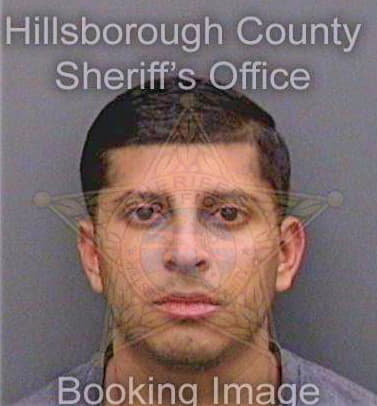 Santiesteban Gerald - Hillsborough County, FL 