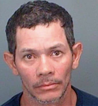 Alvarez Eliezer - Pinellas County, FL 