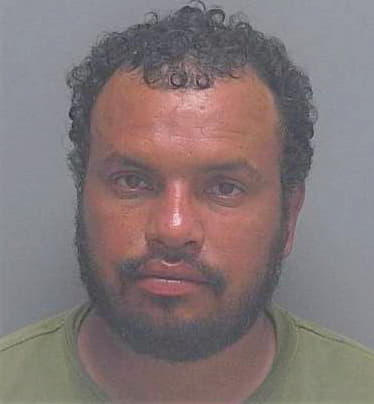 Rojo Jose - Lee County, FL 