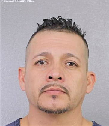 Gonzalez Ricardo - Broward County, FL 