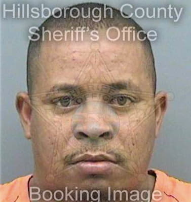 Borges Hayler - Hillsborough County, FL 
