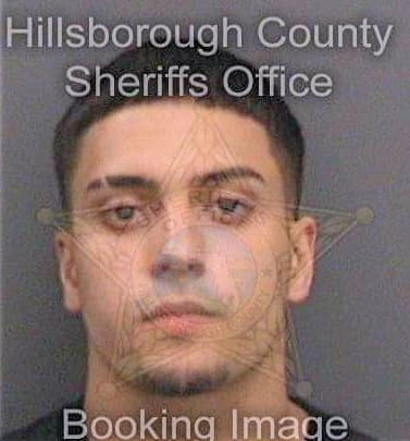 Criadocollazo Fabian - Hillsborough County, FL 