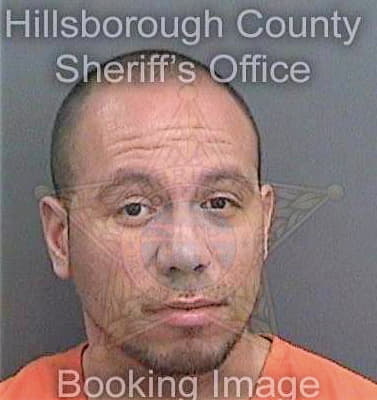 Pinero Jonathan - Hillsborough County, FL 