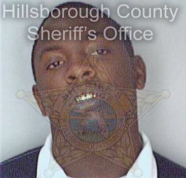 Thompson Robert - Hillsborough County, FL 