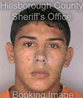 Silva William - Hillsborough County, FL 