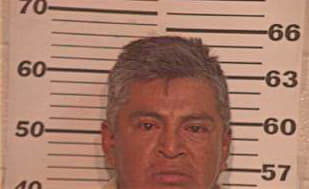 Garcia Enrique - Hidalgo County, TX 