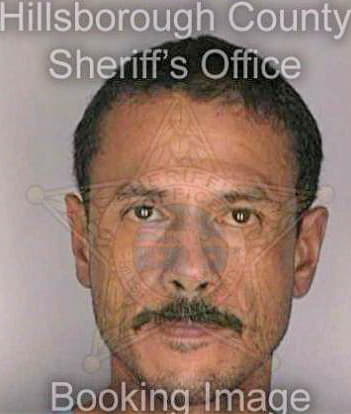 Diaz Jose - Hillsborough County, FL 