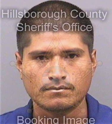 Ramirezmunoz Marcos - Hillsborough County, FL 