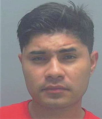 Garcia--Ramirez Cristian - Lee County, FL 