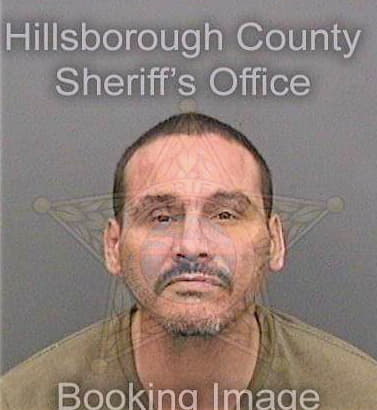 Maldonado Frankie - Hillsborough County, FL 