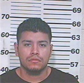 Hernandez Joel - Hidalgo County, TX 