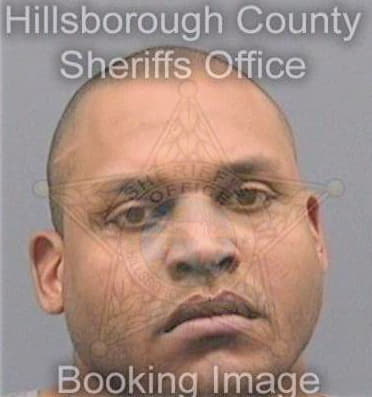 Shogreenedwards Andy - Hillsborough County, FL 