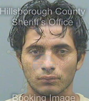 Sanchezhernandez Fredy - Hillsborough County, FL 