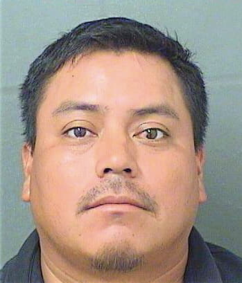 Hernandezmendez Jose - PalmBeach County, FL 