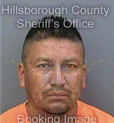 Trejomartinez Gerardo - Hillsborough County, FL 