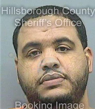 Lebron Irving - Hillsborough County, FL 