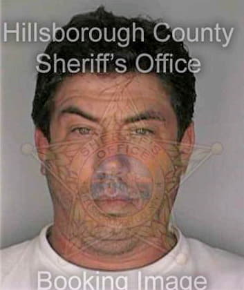 Borzillo Joseph - Hillsborough County, FL 
