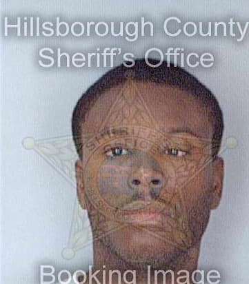 Frantz Jean - Hillsborough County, FL 