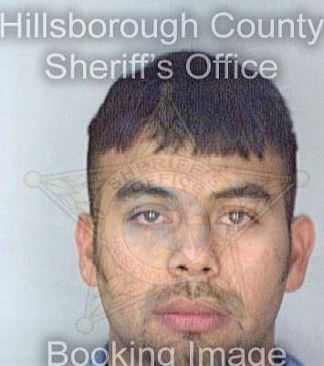 Melendez Julio - Hillsborough County, FL 