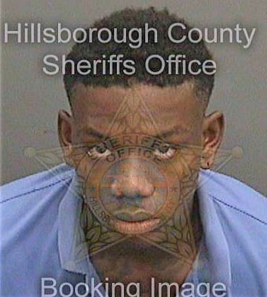 Johnson Andre - Hillsborough County, FL 