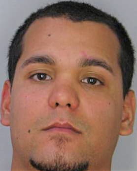 Fernandez Miguel - Hillsborough County, FL 