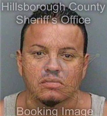 Corrales Alejandro - Hillsborough County, FL 