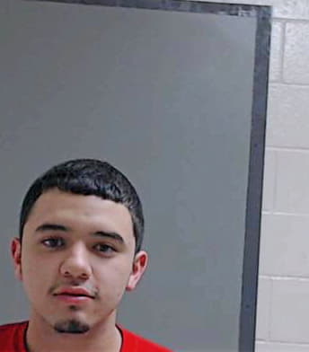 Mireles Eliberto - Hidalgo County, TX 