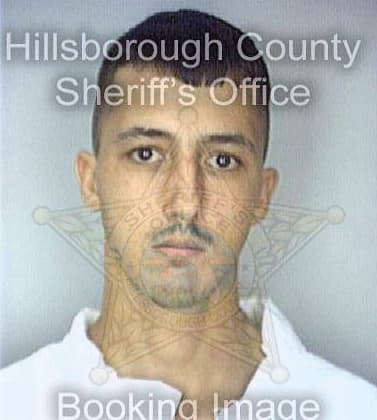 Casale Ryan - Hillsborough County, FL 