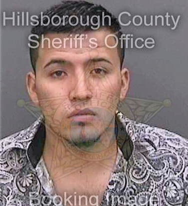 Perezmartinez Reynaldo - Hillsborough County, FL 