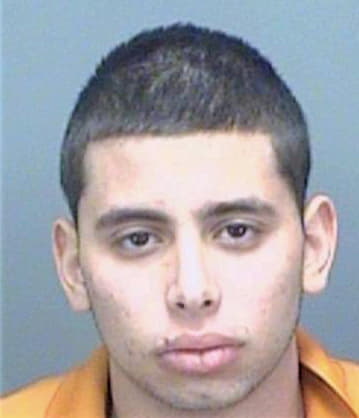 Serrao Daniel - Pinellas County, FL 