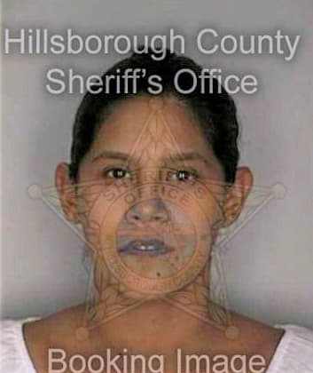 Garcia Denise - Hillsborough County, FL 