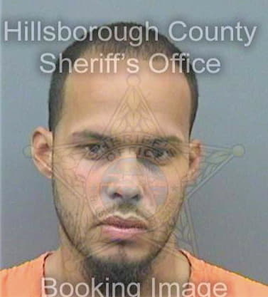 Navarro Marco - Hillsborough County, FL 