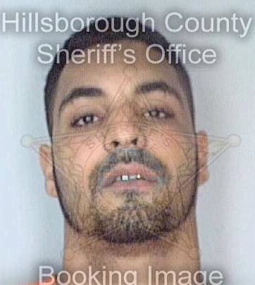 Ramos Salvador - Hillsborough County, FL 