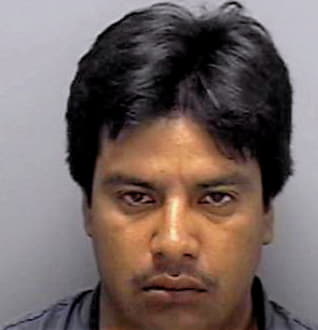 Garcia Nicholas - Lee County, FL 