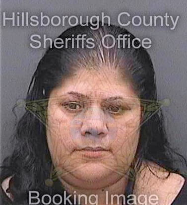 Casarrubias Ivette - Hillsborough County, FL 