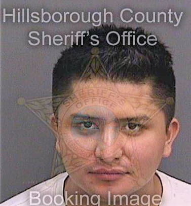 Delgado Luis - Hillsborough County, FL 