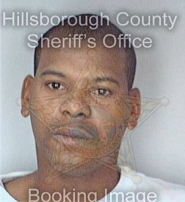 Johnson Rodney - Hillsborough County, FL 