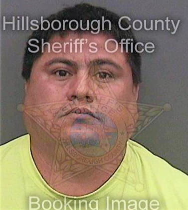 Soto-Martinez Gurado - Hillsborough County, FL 