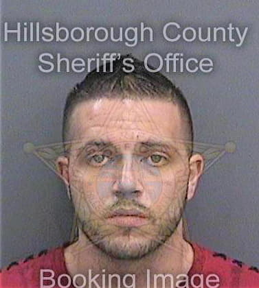 Gilleland Eric - Hillsborough County, FL 