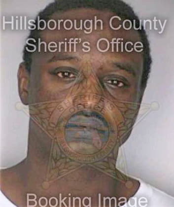 Mcduffie Michael - Hillsborough County, FL 