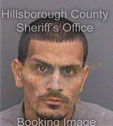 Vazquez Santos - Hillsborough County, FL 