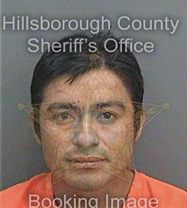 Sanchez Eustorgio - Hillsborough County, FL 