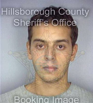 Menouni Nacer - Hillsborough County, FL 