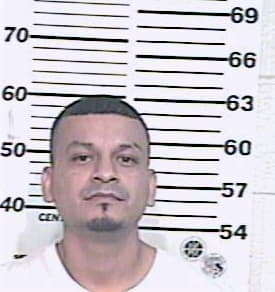 Trevino Daniel - Hidalgo County, TX 