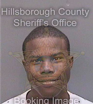 Johnson Reginald - Hillsborough County, FL 