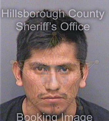 Martinez Bernabe - Hillsborough County, FL 