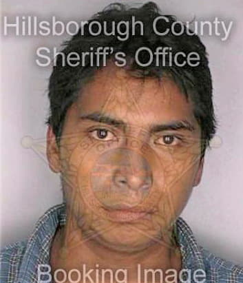 Pisano Armando - Hillsborough County, FL 