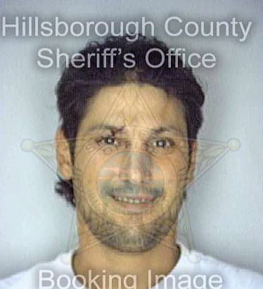Medina Michael - Hillsborough County, FL 